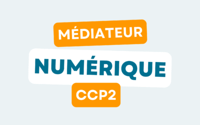 Médiateur Numérique – CCP2 ( Titre Professionnel )